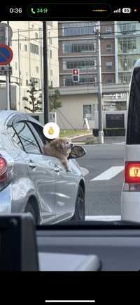 ユーザーアイコン