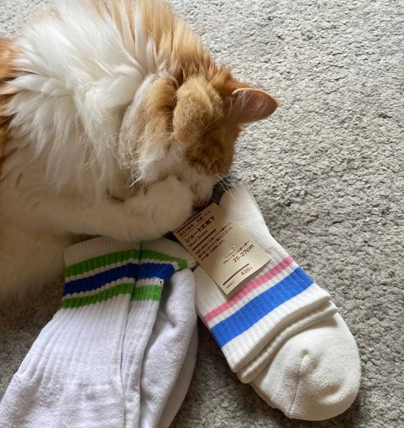 ファミマ派？ローソン派？
そうか、お前はローソン派だったのか・・・