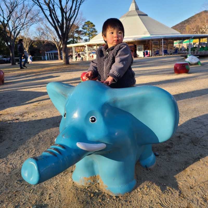 岩隈 大暉(出品者)