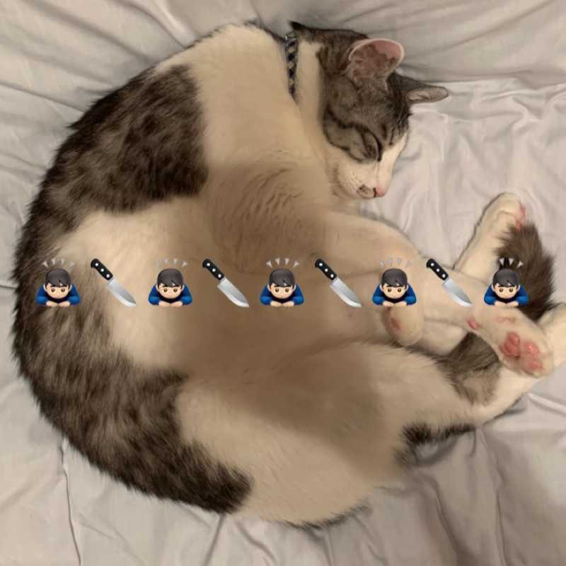 ユーザーアイコン