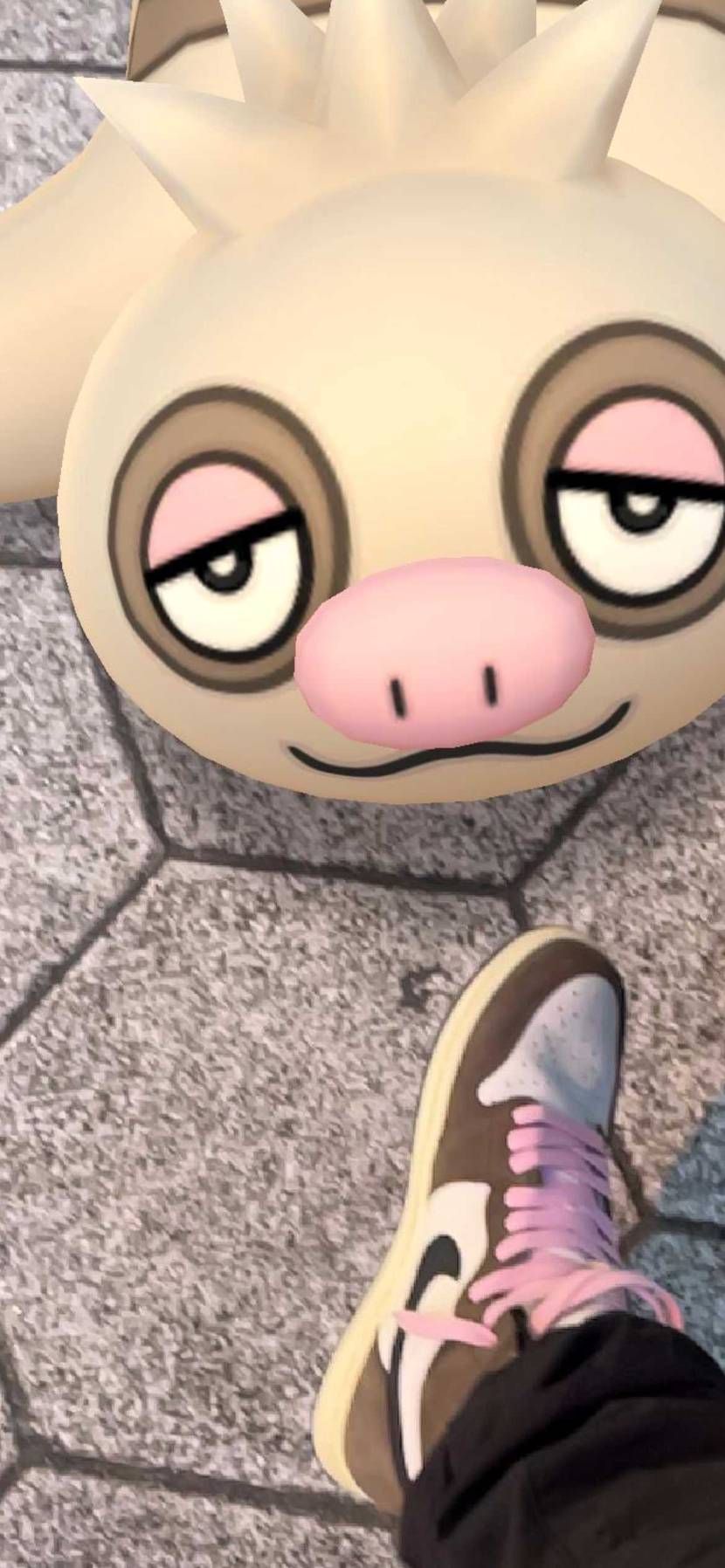 あは🤣