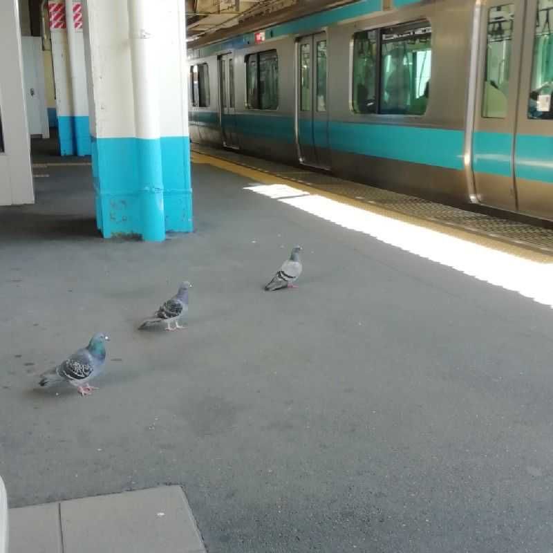 ユーザーアイコン
