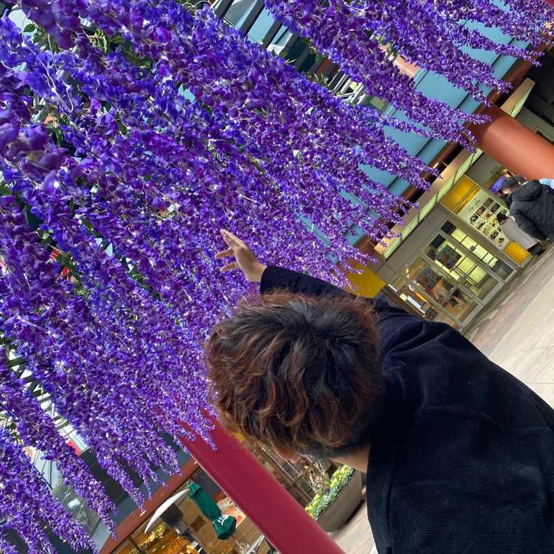 yuto