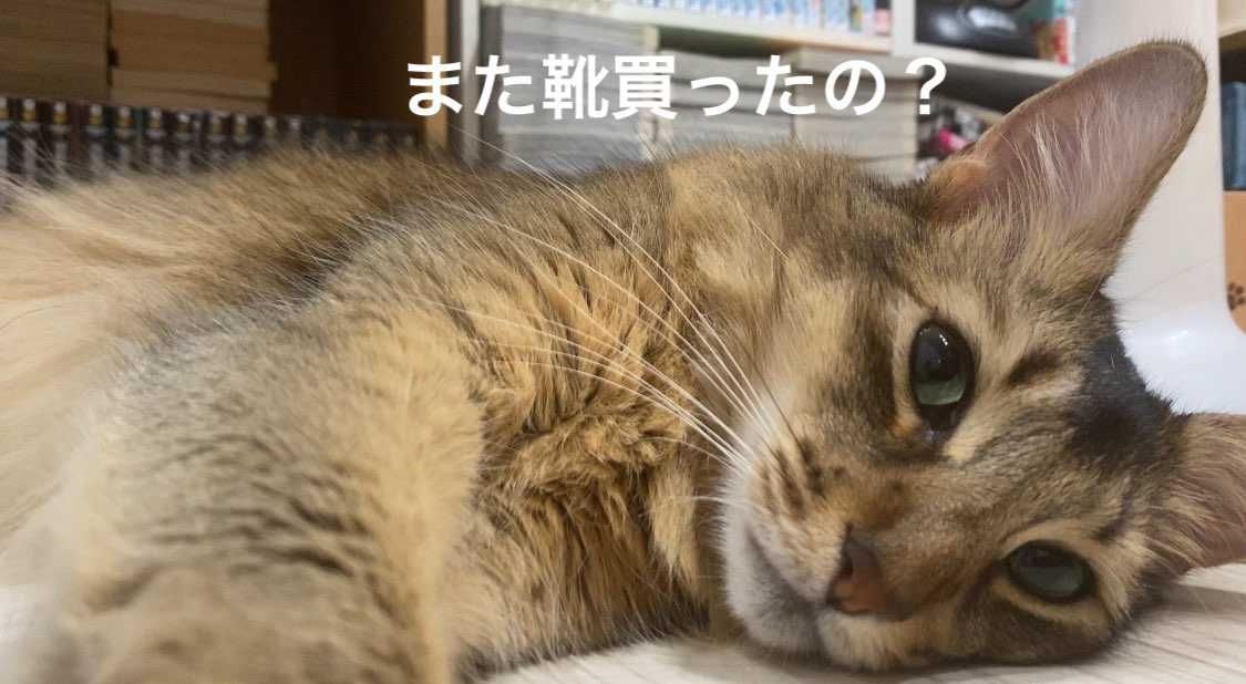 8月の頭に会議出張で大阪に行く事になりました。有難い事に金曜日に設定してくれたの