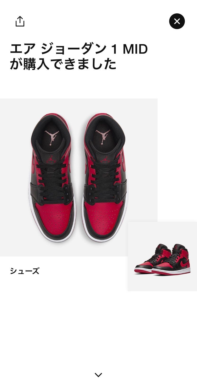 朝9時にABCの抽選確認したら外れてたけど、NIKEで無事購入。
ABC在庫い