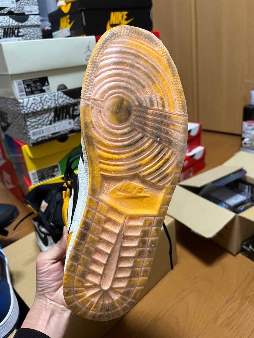 シューグー参考に