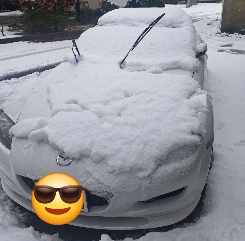 新年2日目皆さんいかがおすごしですか？
自分の地域は昨晩か