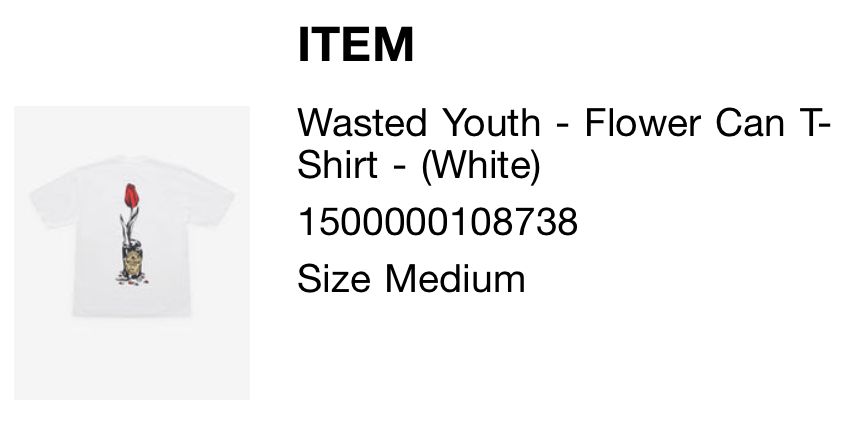 991V2 & Wasted Youth Tee GOT’E