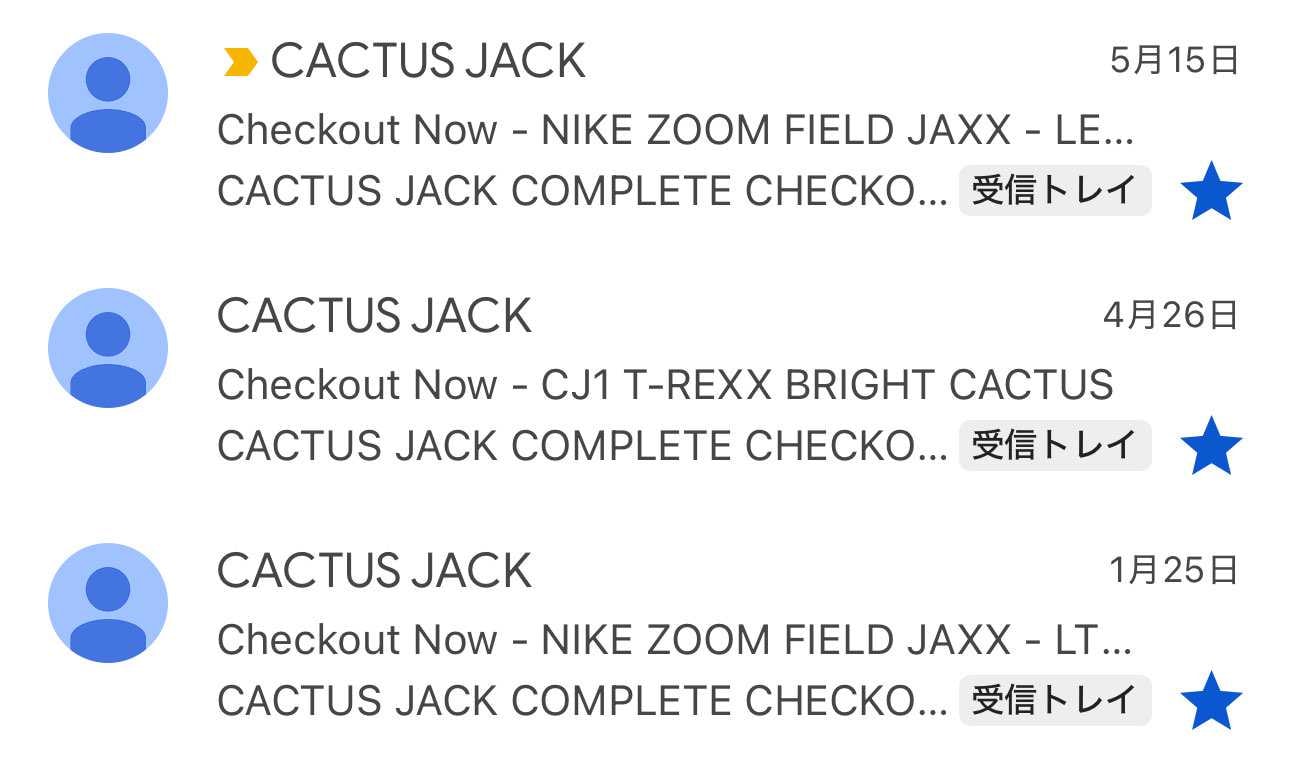 ZOOM FIELD JAXX やCJ1 T-REXX BRIGHT CACTU