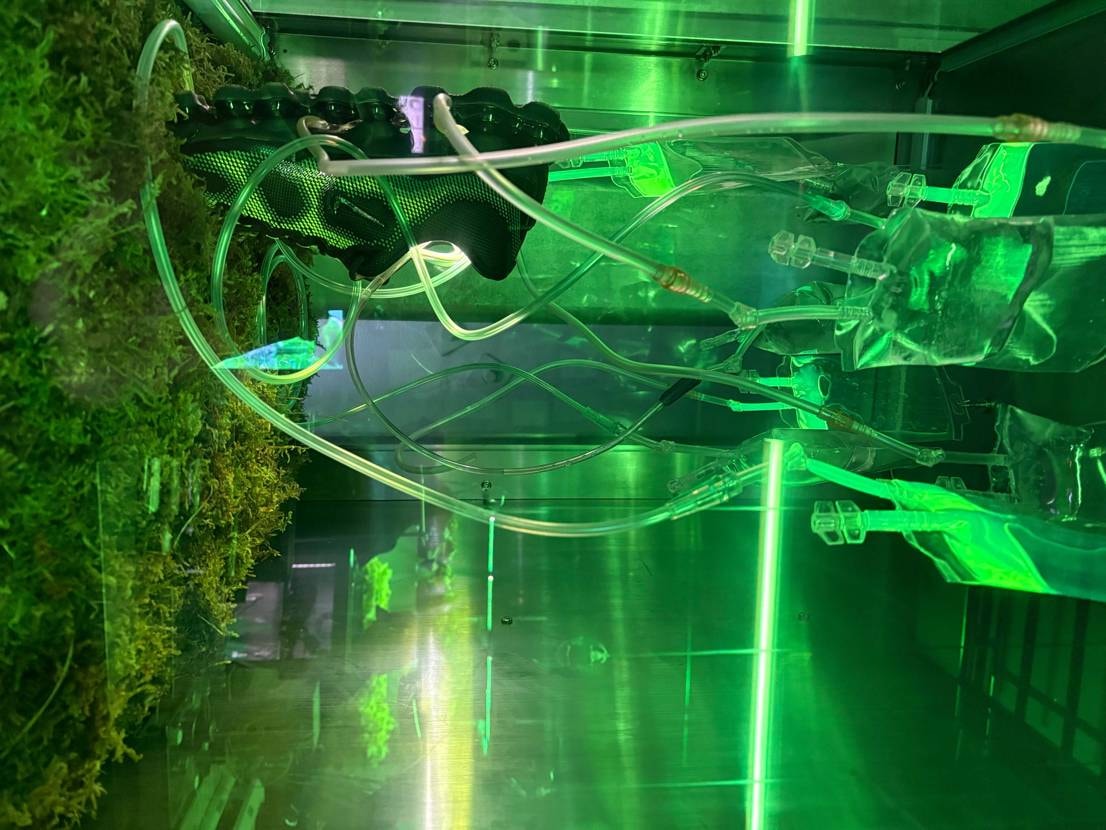 GR8 POP UP SHOP 抜け番があり、実質25番目ぐ