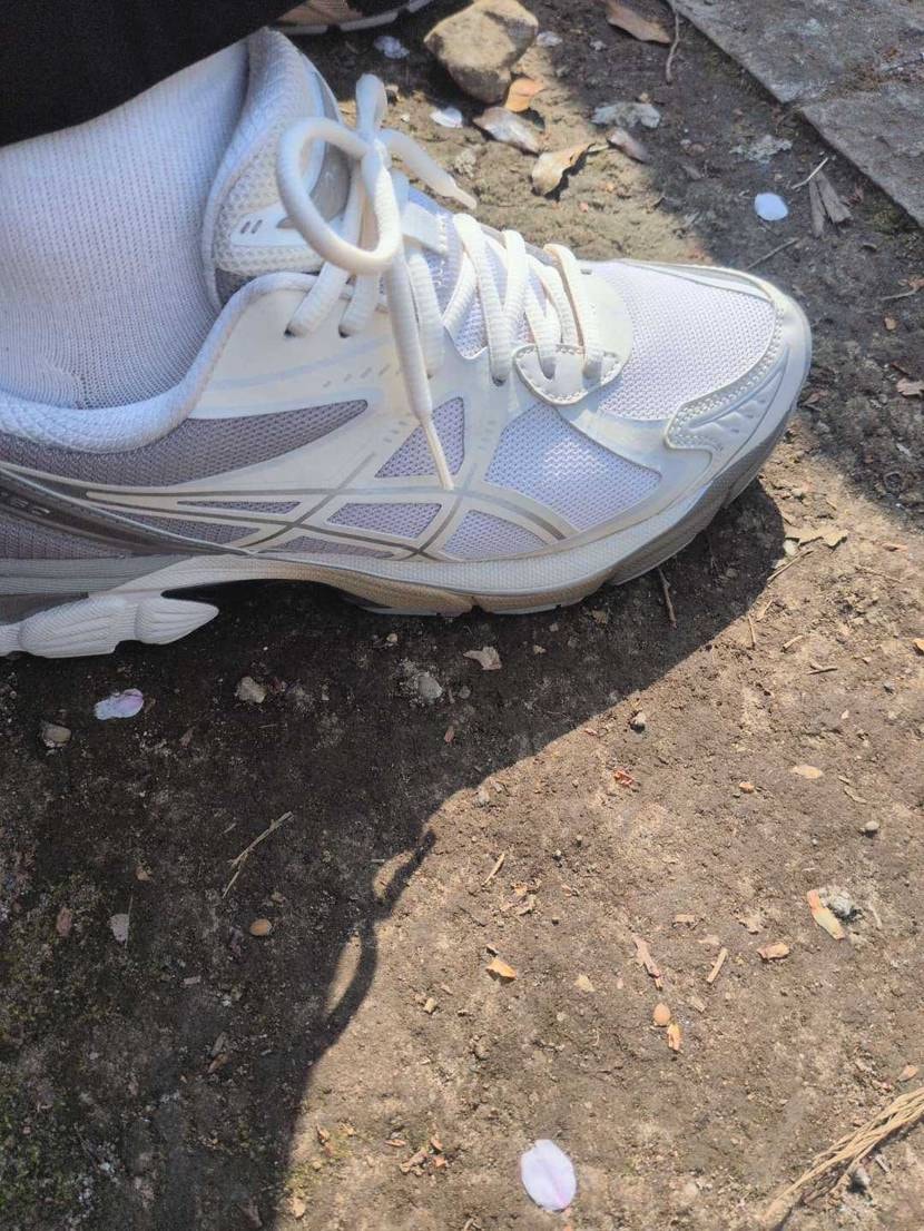 今日はdime×GT-2160で花見です🌸

花見という