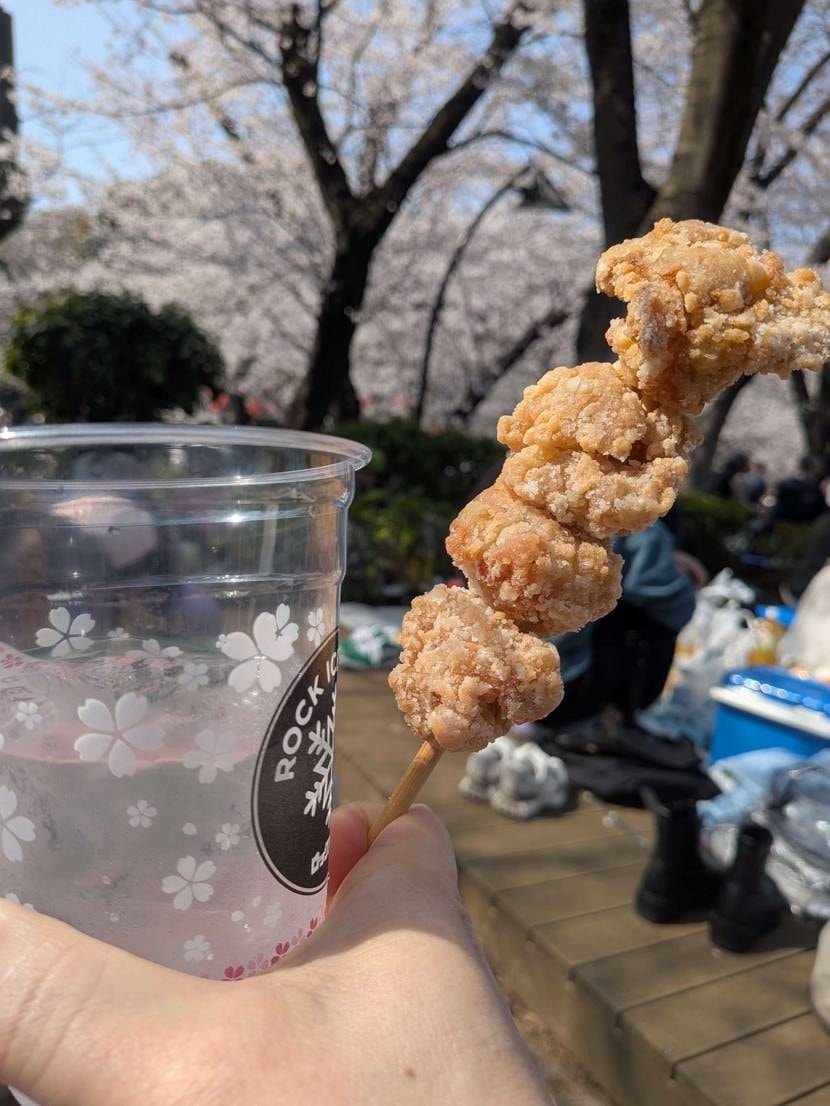 今日はdime×GT-2160で花見です🌸

花見という