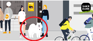 この犬の犬種は何ですか？サモエド？スピッツ？