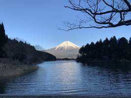 きな太郎