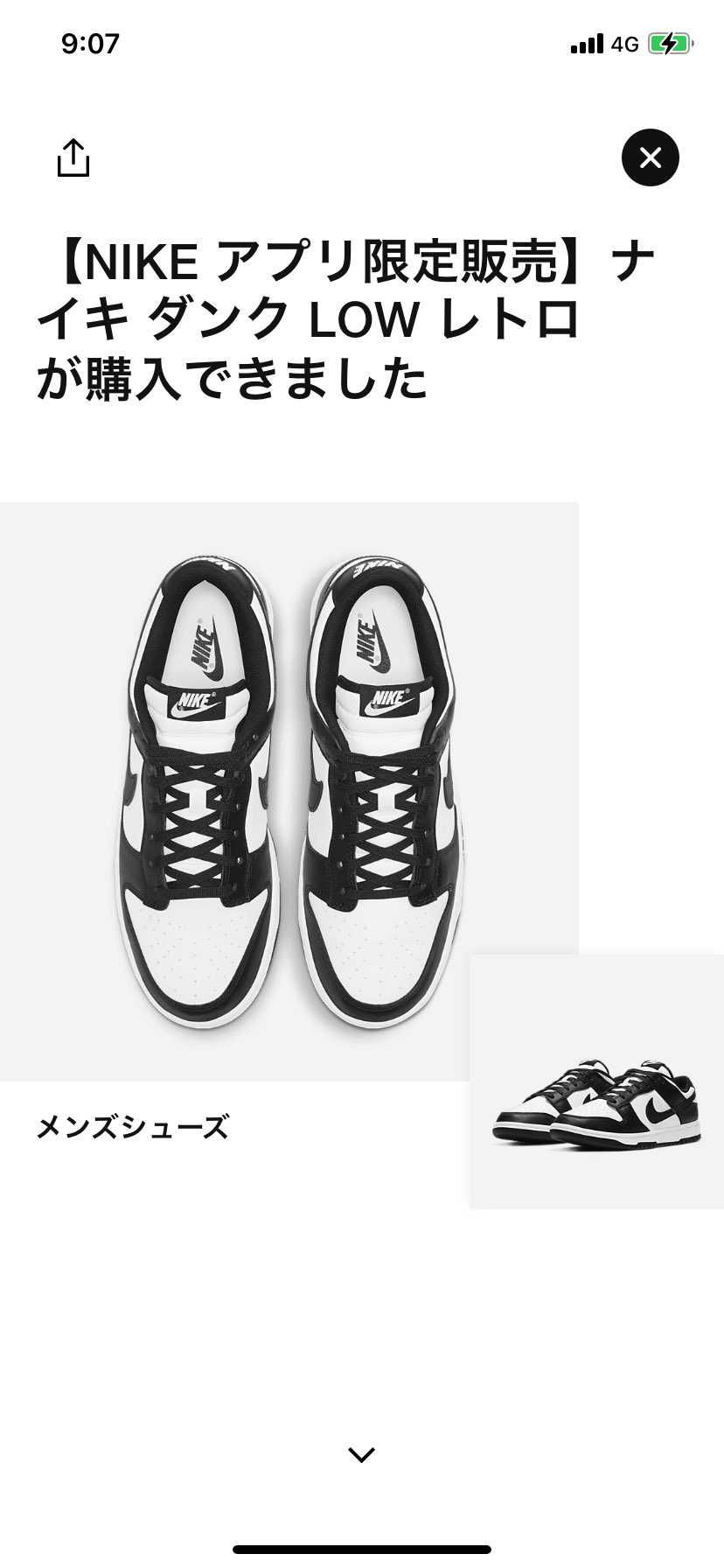 やっと自分の手元に‼︎