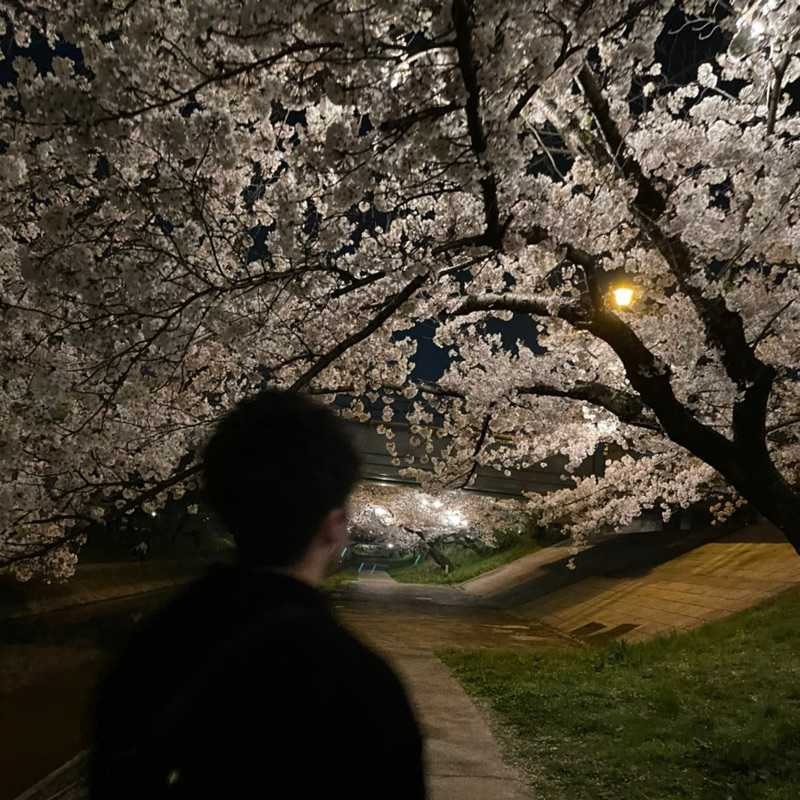 たいせい