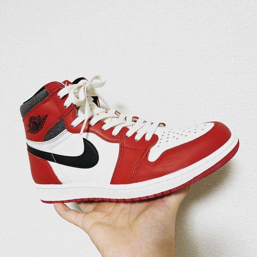 SNKRS初めて2年ちょい。
欲しくて購入できたのは
Dunk Low Sc