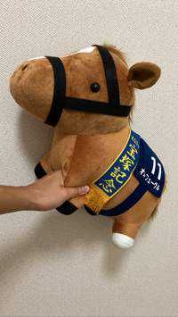 Soma0803
