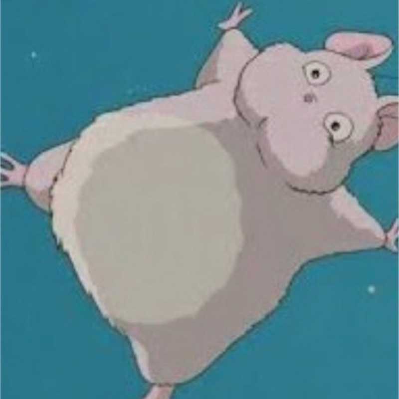 ?ℴ???