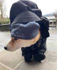 ユーザーアイコン