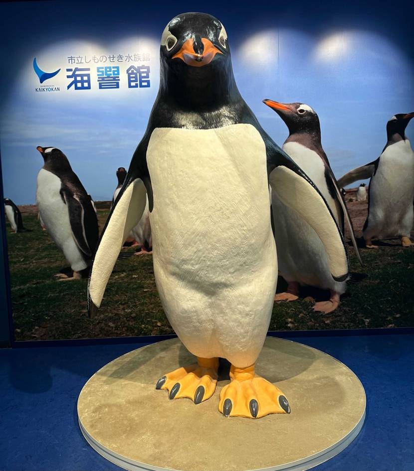 最終日in海響館と連休戦利品