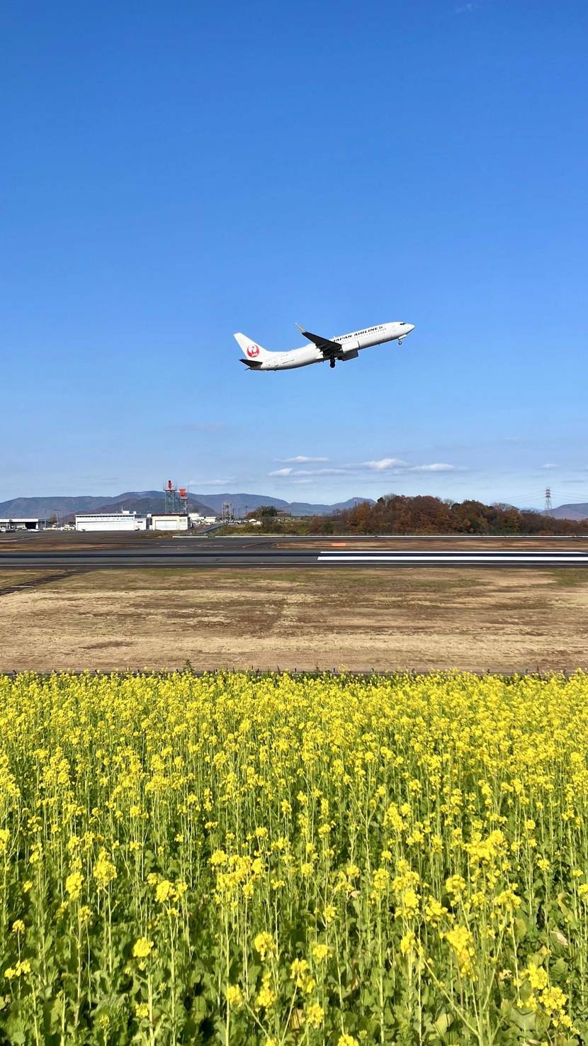 ひたすら寒い((( ˘ω˘ )))ｸｿｻﾐ



で