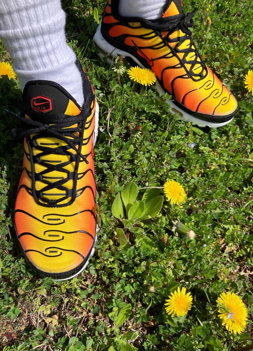 お散歩すると縁石に乗るのと良い感じの棒を拾うのは男たるものマストである

