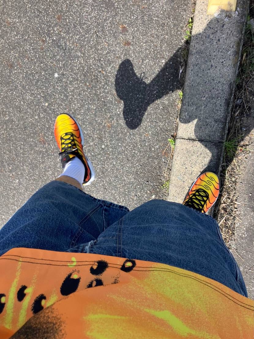 お散歩すると縁石に乗るのと良い感じの棒を拾うのは男たるものマ