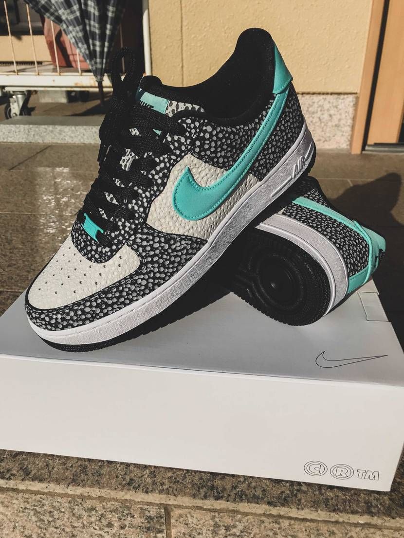 大本命到着
可愛い