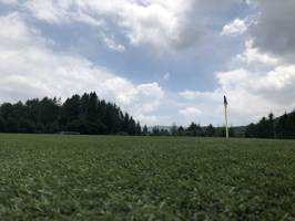 ゆー