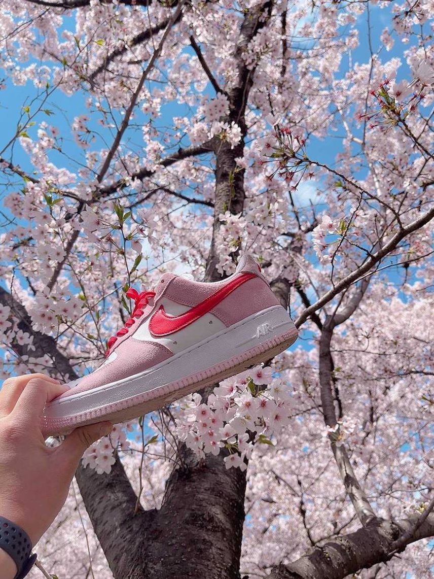 お花見最高です🌸