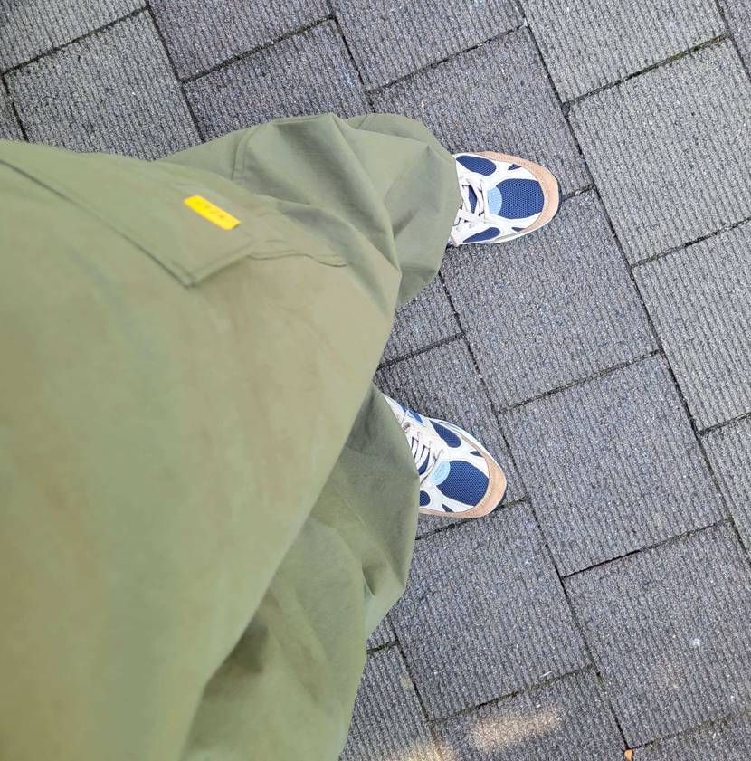 今日はこれ