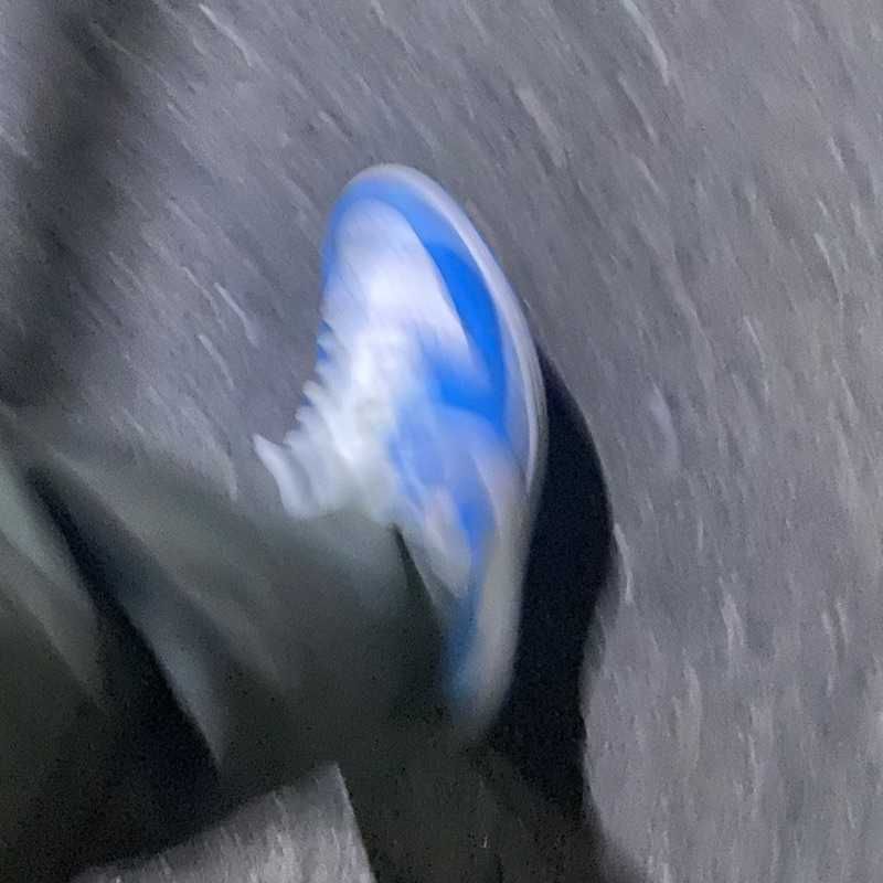 my(出品者)