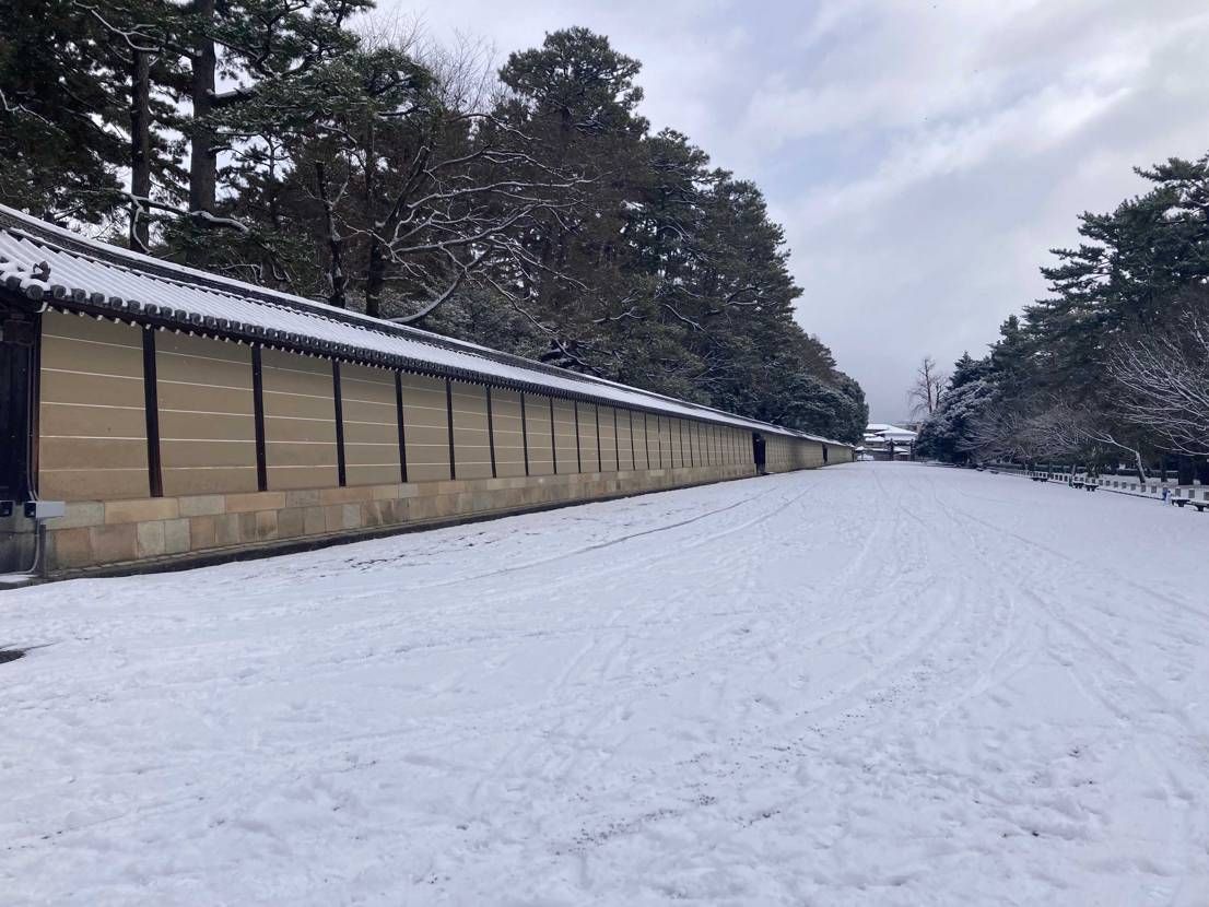 京都御所雪景色綺麗🤩
抽選はダメでした😓ちょっと観光して帰ります。これからの人
