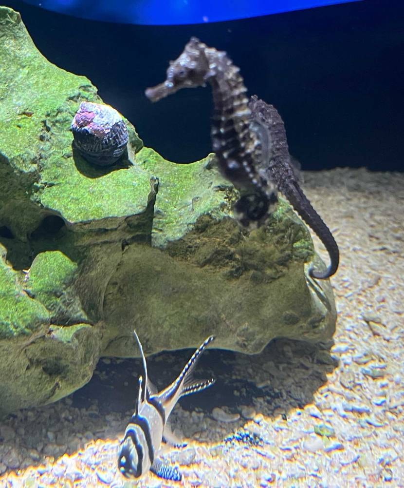 涼を求めて地元水族館へ（🐟写真無くて🙇💦）
結構歩いたけど