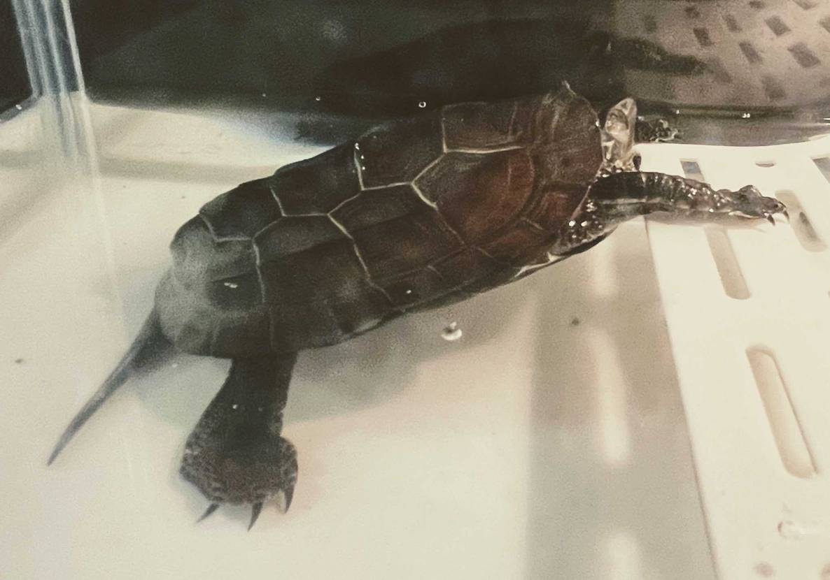 今ごろになってエンノイどハマりしてしまい…
フリースジャケ