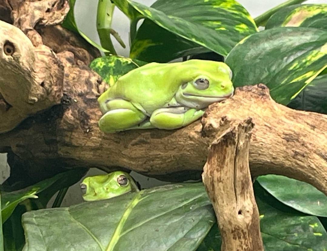 涼を求めて地元水族館へ（🐟写真無くて🙇💦）
結構歩いたけど
