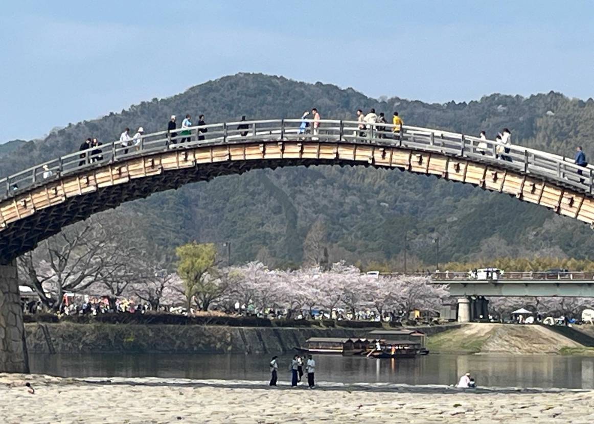 子供のリクエストでビクドンへ行き、これから🌸見にドライブ🚙💨