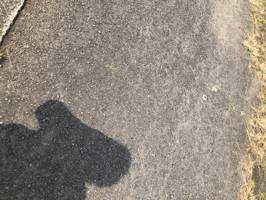 いとか