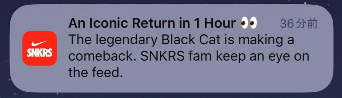 ( ・ω･)/はSNKRSを開いてみた

しかし何も起こらなかった