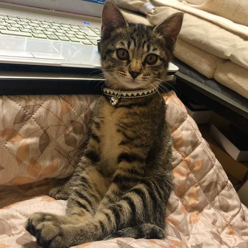 Jun