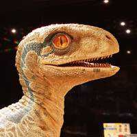 ユーザーアイコン