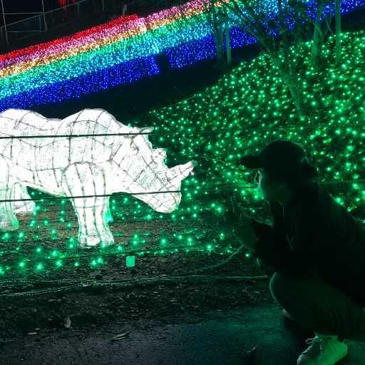 ざーゆ