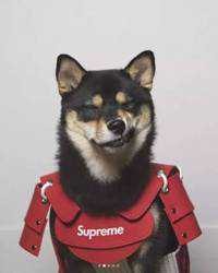 Chi