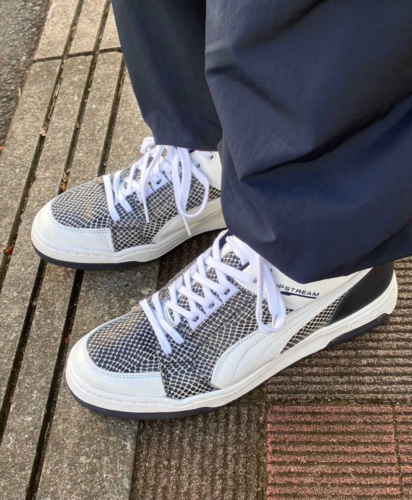 今日スニ

パリジャンナイト🐍

#hpumamij