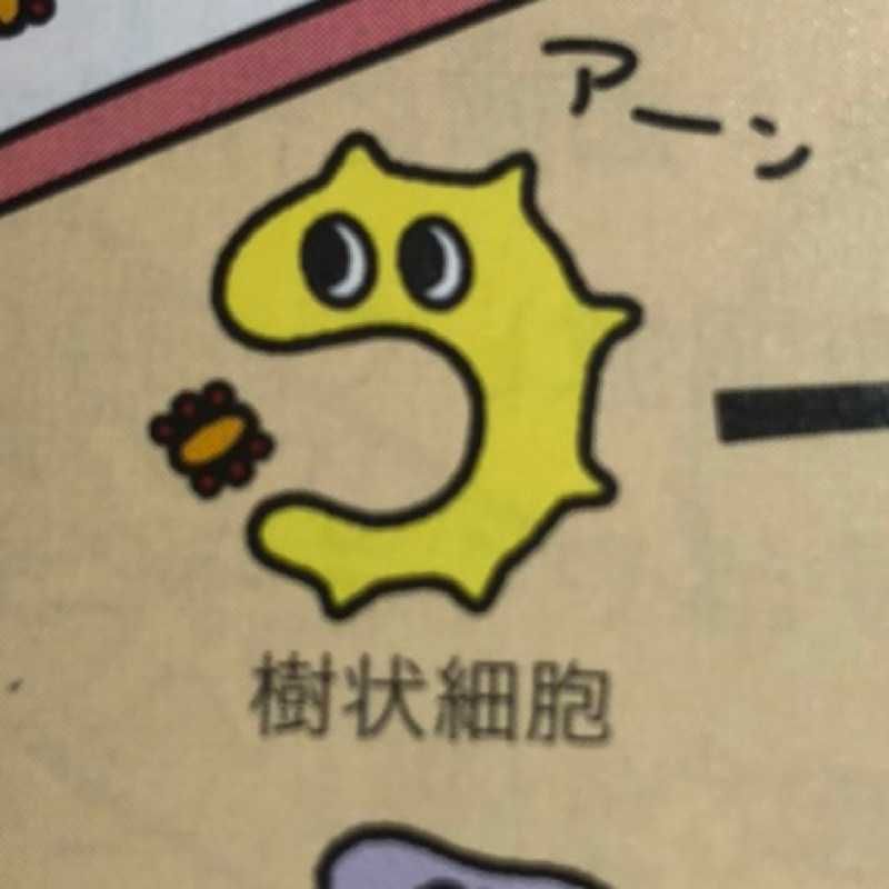 ユーザーアイコン