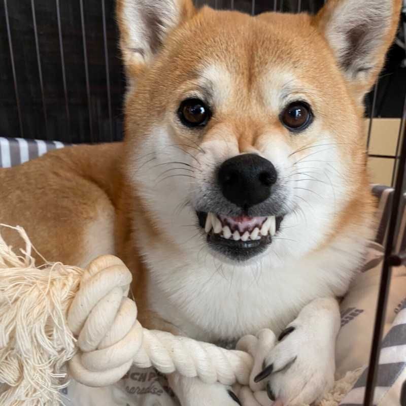 祐貴(出品者)