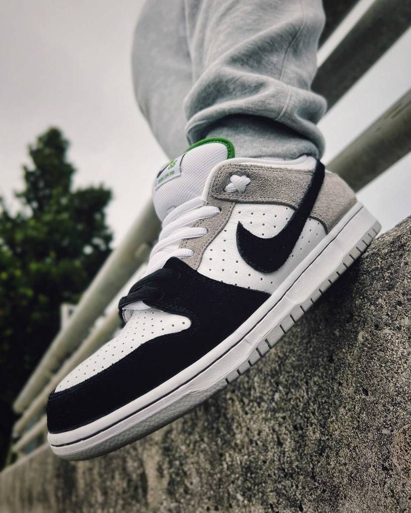 chlorophyll