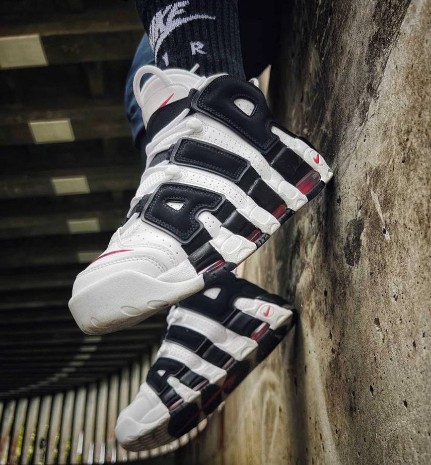 🦓