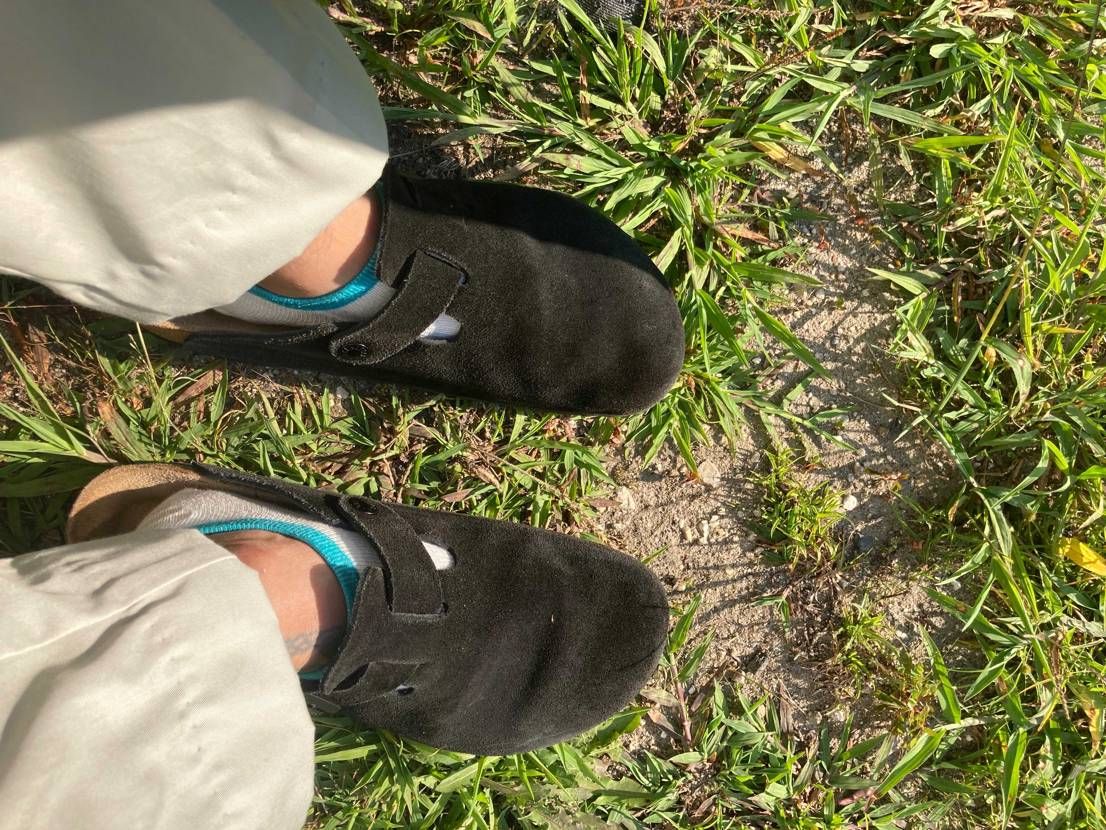 今日のくっく
誰かかまって😢